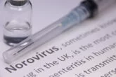 norovirus vaccine